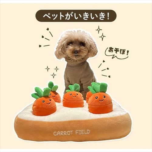 アンナ ニコル　ボビングヘッド　ヘッドノッカー　バズリーボッバーズ レア！ アンナ ニコル ボビングヘッド ヘッドノッカー バズリーボッ