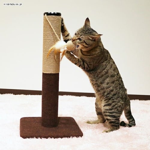 チャミ 猫爪とぎポール 爪磨き ツメとぎキャットタワー 麻縄巻き 腰掛け椅子 両用 ストレス解消 ハンモック付き チャミ猫爪とぎポール爪磨きツメとぎキャットタワー麻縄巻き腰掛け椅子