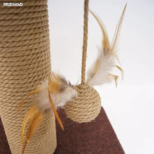 キャティーマン モダンルーム 寝ころびベッド_3