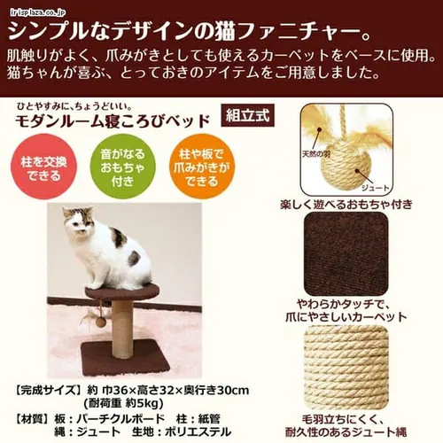 キャティーマン モダンルーム 寝ころびベッド_5