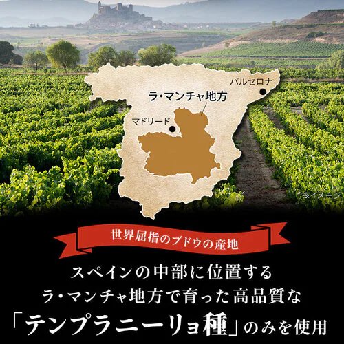 赤ワイン スペイン産 Brvilio 3000ml テンプラリーニョ_2