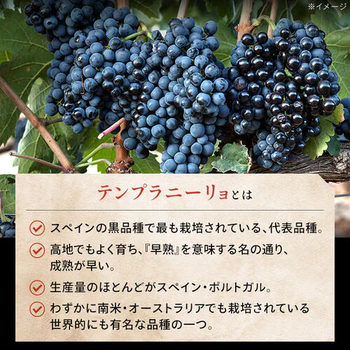 赤ワイン スペイン産 Brvilio 3000ml テンプラリーニョ_3