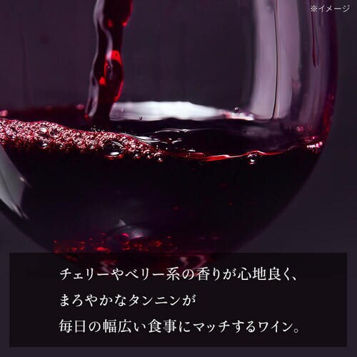 y4Zbgz ԃC XyCY Brvilio 3000ml ev[j_4