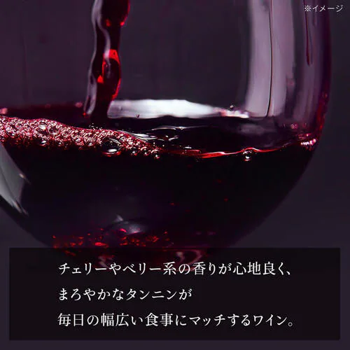 赤ワイン スペイン産 Brvilio 3000ml テンプラリーニョ_4