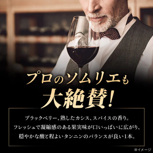 赤ワイン スペイン産 Brvilio 3000ml テンプラリーニョ_5