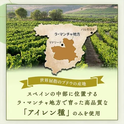 白ワイン スペイン産 Brvilio 3000ml アイレン_6