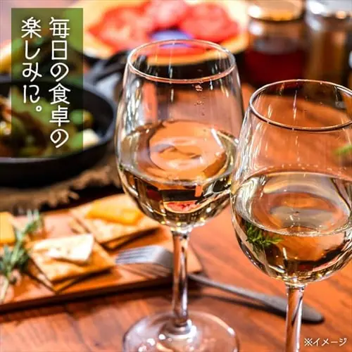 白ワイン スペイン産 Brvilio 3000ml アイレン_9