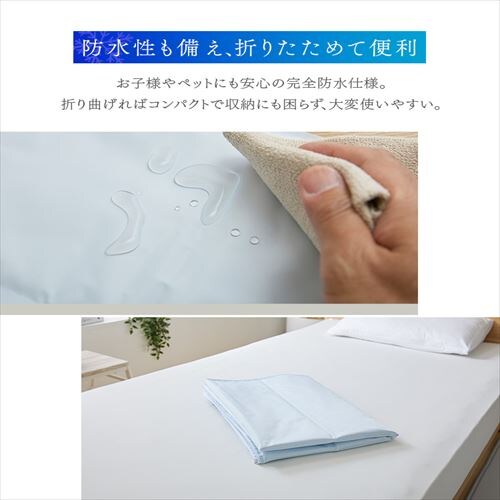 WF}bg 56~31cm ڐG⊴ S2F_8