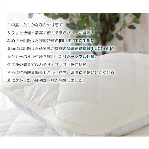 Jo[ 2g ėp ڐG⊴ Q-ax0.45 z RۖhL Vo[O[_3