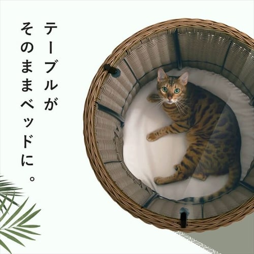 アイリスプラザ ペットハウス＆テーブル 丸型Mサイズ ブラウン 【公式