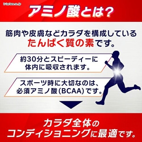 y24z AJINOMOTO ̑f A~moC^ R [[hN }`GlM[R_13