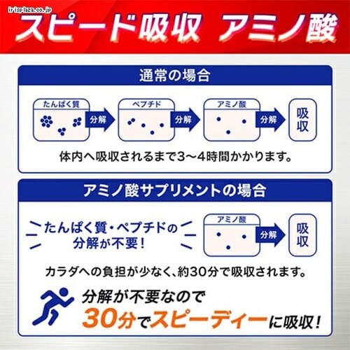 y24z AJINOMOTO ̑f A~moC^ R [[hN }`GlM[R_15