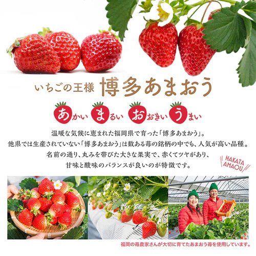 Ղ䕂̃ACX ACX ACXN[ ܂   6yszysz_3
