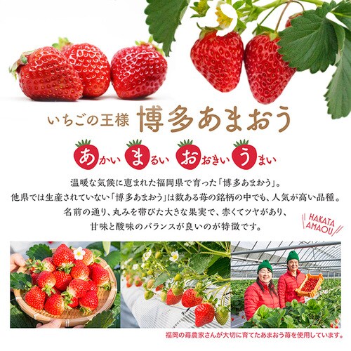 Ղ䕂̃ACX ACX ACXN[ ܂   6ysz_3