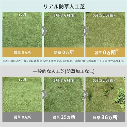 防草シート不要!】人工芝 防草シート付き 2m×15m 国産 芝丈30mm 防草シート不要!】人工芝 防草シート付き 2m×15m 国産 芝丈30mm