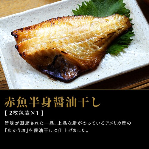 Zbg HS10-GP yԎwszysz_6