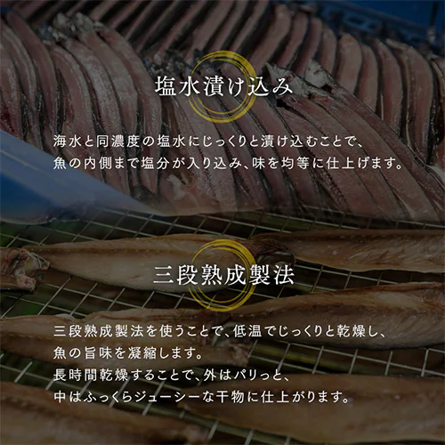 Zbg HS10-GP yԎwszysz_8