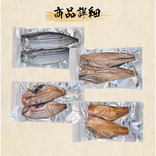 Zbg HS10-GP yԎwszysz_10