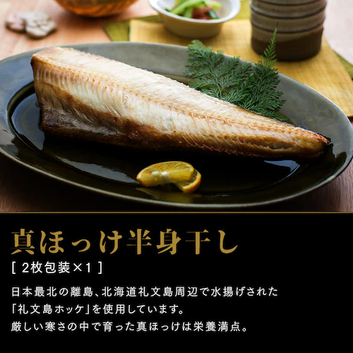 IZbg HK10-GP yԎwszysz_5