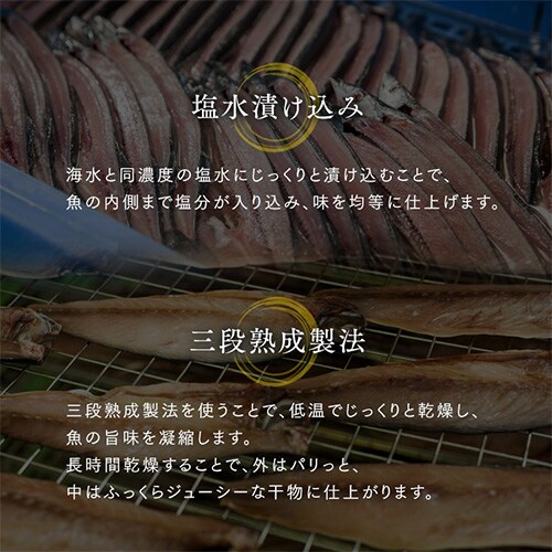 IZbg HK10-GP yԎwszysz_9