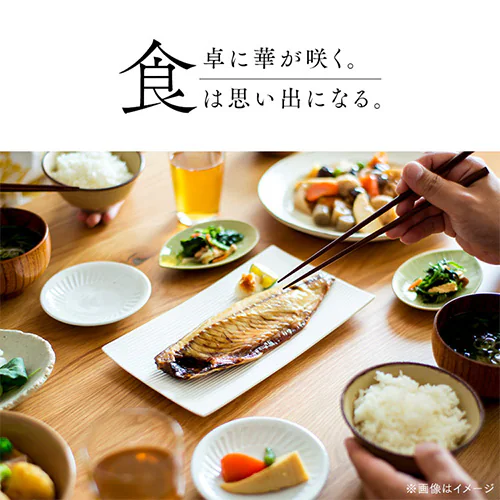 IZbg HK10-GP yԎwszysz_10