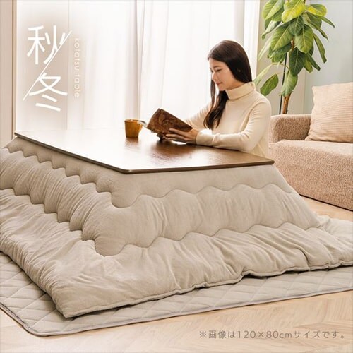  { 80~60cm ` ۋrfUC ؖڒ i`_13