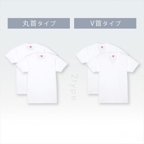 BVD V񔼑Vc2g L_2
