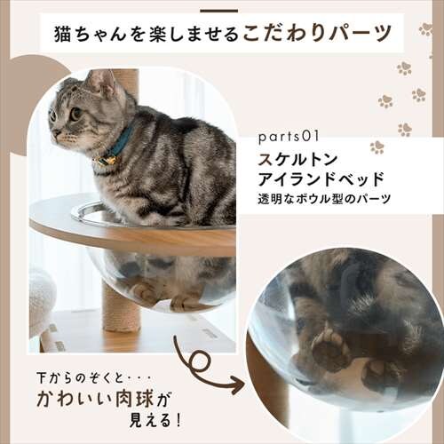 ̂ڂAX`bN^[ Ch^Cv 1441106001 _4
