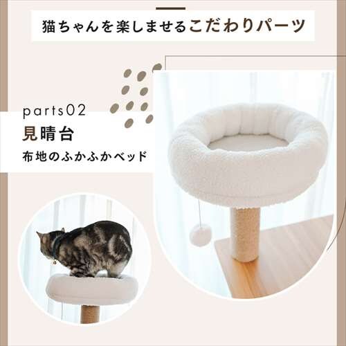 ̂ڂAX`bN^[ Ch^Cv 1441106001 _5