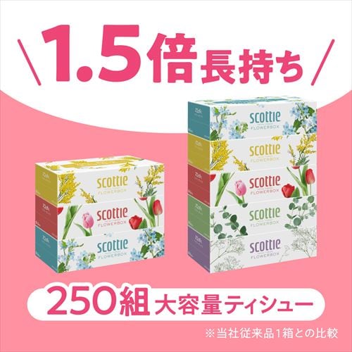 60箱】 スコッティ ティッシュ 500枚 (250組) 5箱×12 日本製紙クレシア