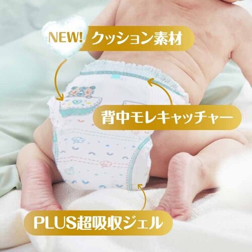 P&G pp[X ւ̂΂pc / EgW{ rbO46i12-22kgj _2