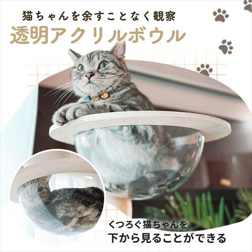 ˒AX`bN^[ nbN 1011106003 _3