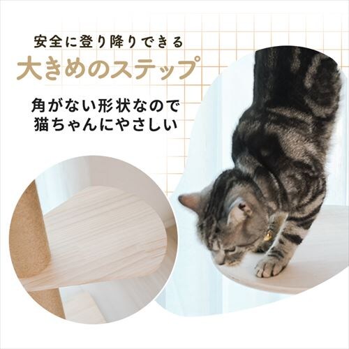 ˒AX`bN^[ nbN 1011106003 _5