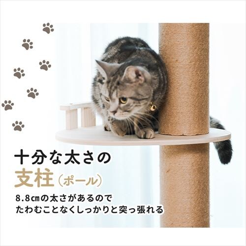 ˒AX`bN^[ nbN 1011106003 _8