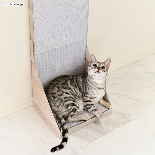 KKXC[g EH[ O[W ܂Ƃ_4