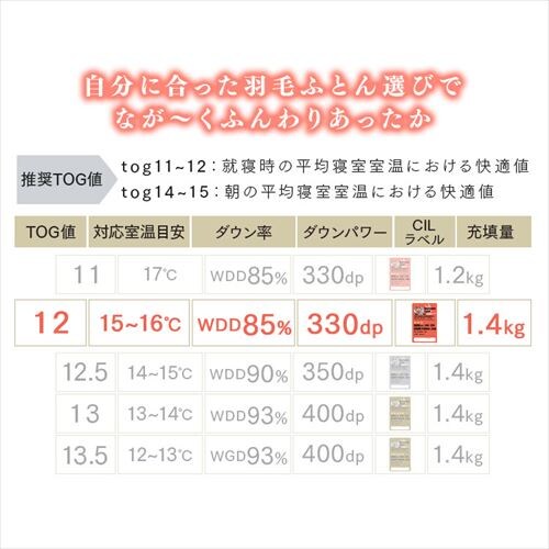 Hѕzc _uO WDD85% 300dp 1.4kg yCY[u[yOszyszysz_6