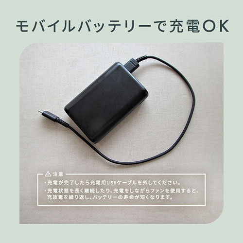 ハンディファン 折りたたみ USB充電 ホワイト 7263850│アイリス