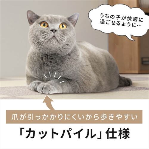 y20zL^CJ[ybg 50~50 TKP-SS50 S5F_3