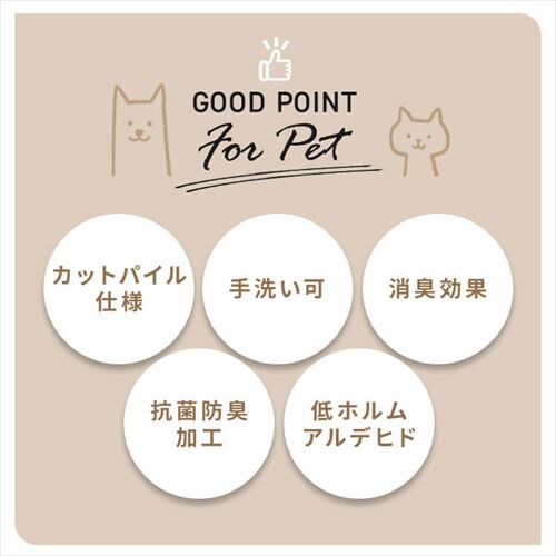 y20zL^CJ[ybg 50~50 TKP-SS50 S5F_6