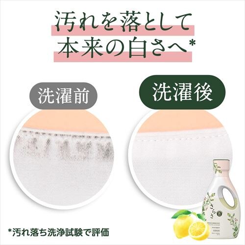 P&G ���炳 ����p��� �l�� ������T�C�Y 1.01kg_8
