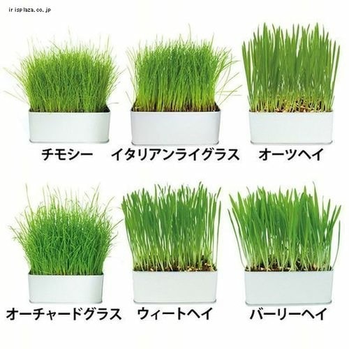 イースター セレクションファーム 牧草栽培セット＜リフィル