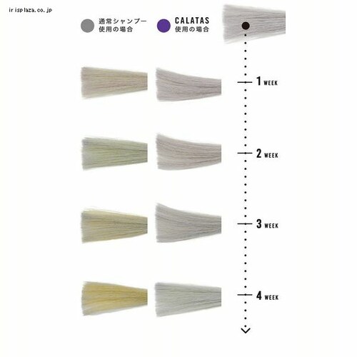 y2zCALATAS SHAMPOO HEAT CARE Vo[yvUZNgz_2