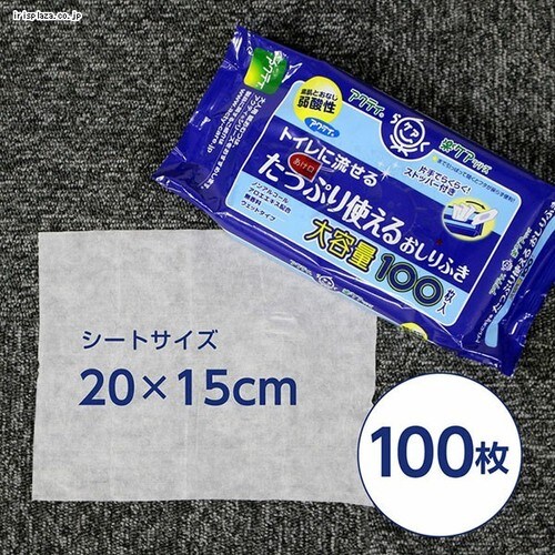 20%OFFANeB gCɗ Ղg ӂ 100 _5