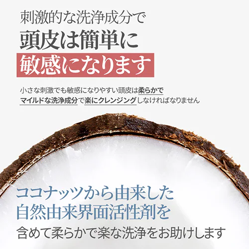 Bouquet Garni Vv[/g[gg ojXN̍ 500ml Vv[_8