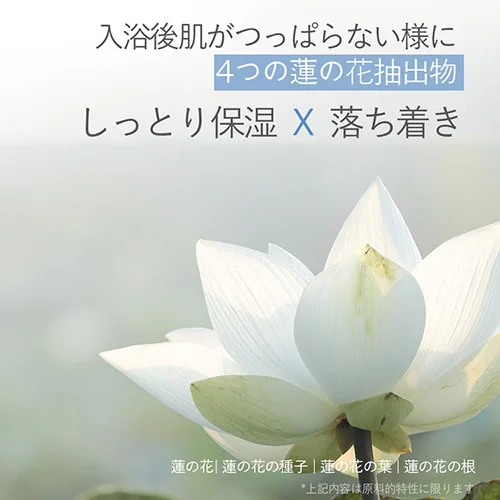 Bouquet Garni {fBV[ ojXN̍ 500ml _10