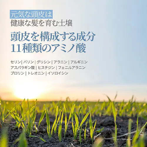 Bouquet Garni Vv[+g[gg zCgXN̍ e500ml _11
