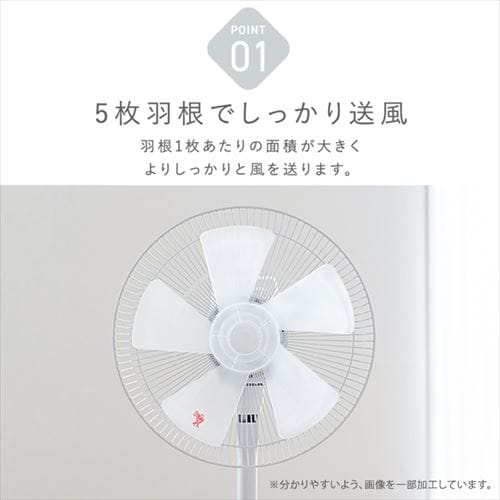 扇風機 左右首振り テクノス TEKNOS KI-1710(W)I ホワイト 7264596