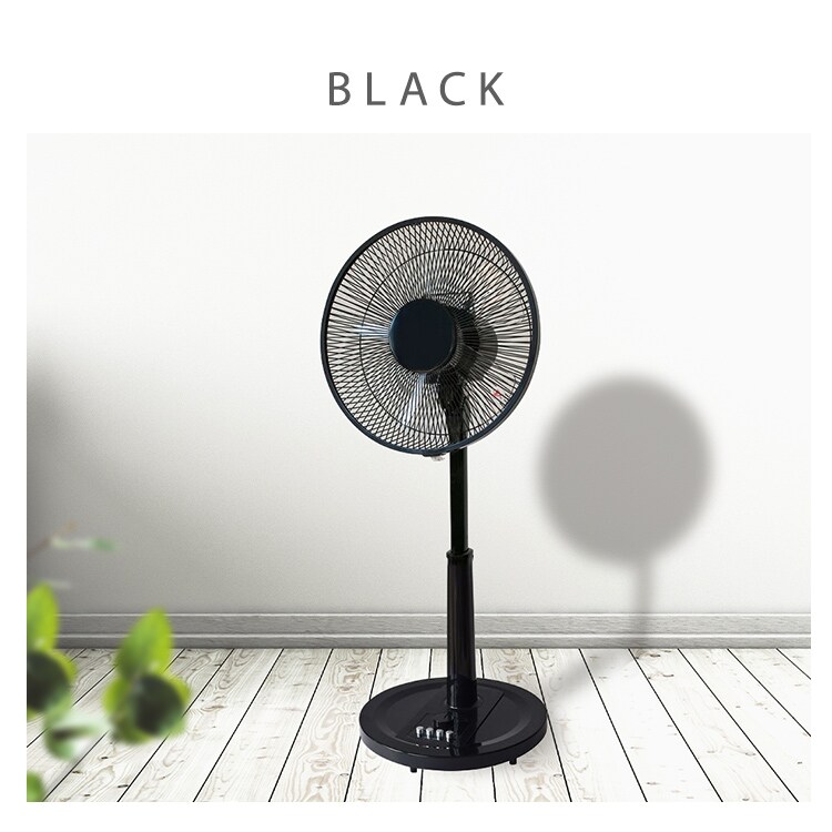 原因は自分にある。 団扇 7本セット 71EPtqrkvdL.jpg_BO30,255,255,