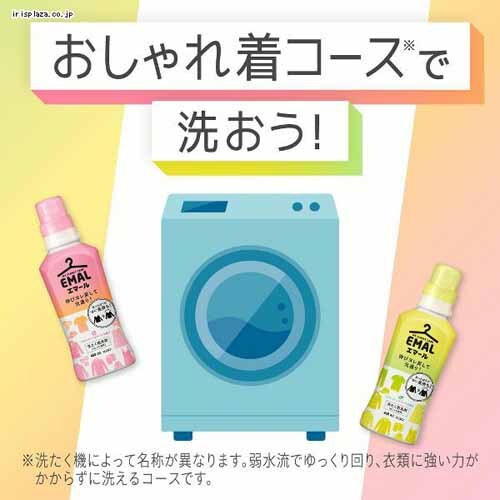 KAO 【6個セット】エマールつめかえ用 810ml 全2種類【プラザセレクト