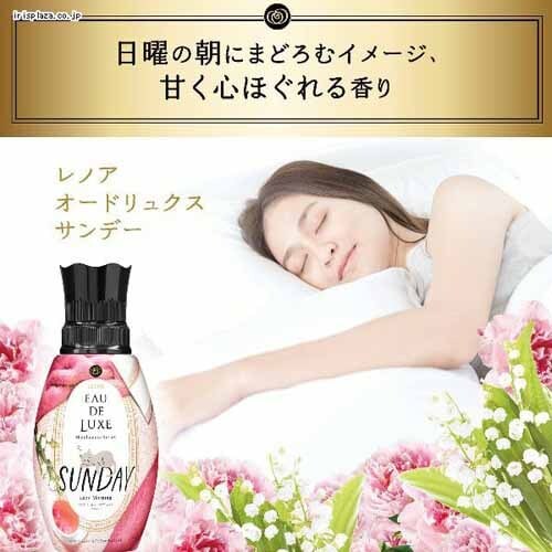 P&G mAI[hNX }ChtlXV[Y A}WG r[Y Tf[ { 520ml _2